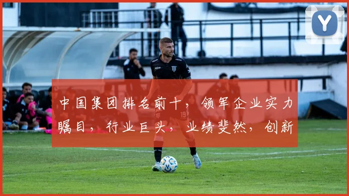 中国集团排名前十，领军企业实力瞩目，行业巨头，业绩斐然，创新驱动，共筑辉煌。